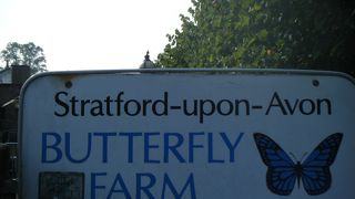 バタフライ ファーム