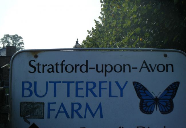 バタフライ ファーム