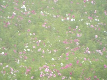 丸加高原　伝習館 写真
