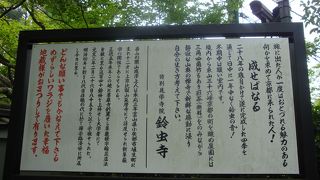 いつ行っても行列です！