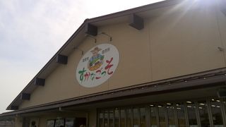 一日遊べます。