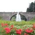 ヒガンバナと通潤橋