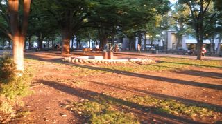 背の高い木々に囲まれた