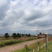 湖を望む公園です