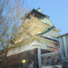 夕方以降のさりげないライトアップが印象的でした。