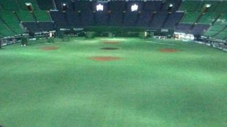 野球ファンならぜひ！