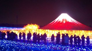 毎年見入ってしまう見事なイルミネーション