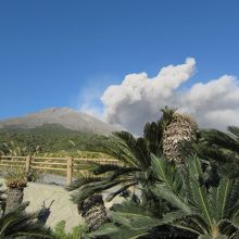 桜島もこのように見えて