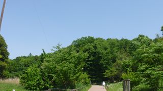 丘陵地の健康的なスポット