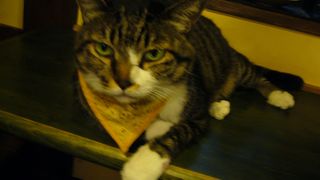 自分の中での黒川温泉お気に入りは西の「山河」と東の「山みずき」！！　山みずきに日帰り湯