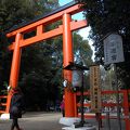 お正月には毎年訪れる神社