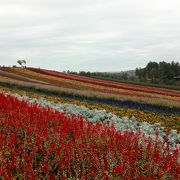 北海道を感じる景色