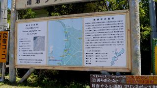 本当に素晴らしい並木　今回も来てしまった