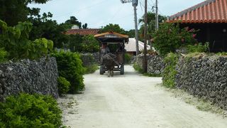 看板はなかった