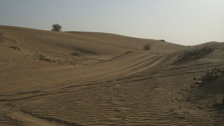 魅惑の砂漠