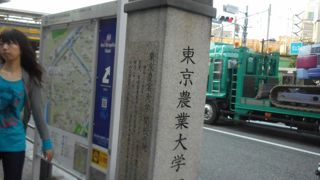 目白通り沿いにあります