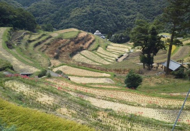 農村の見たことのない風景。。。