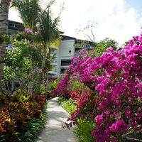 ホテルからプールへ行く道