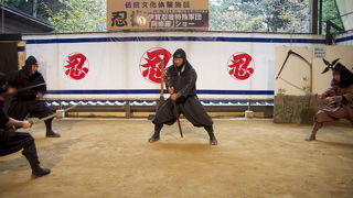 忍者ショーは必見