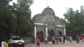 朝早く出かけるのがポイント