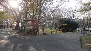 佐倉市民憩いの場