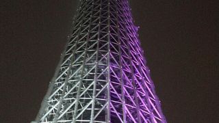 スカイツリーを下から眺める