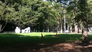 意外に広くて緑が多い