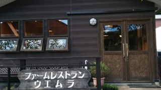 安心して食べられる黒毛和牛