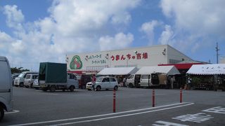 おいしそうなお弁当がたくさん