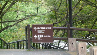 江戸の街並みを再現！