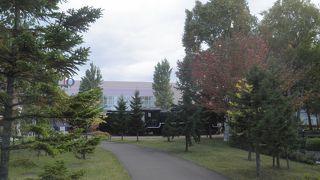 周囲の紅葉が始まった