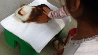 芝生が綺麗で長い滑り台がある公園