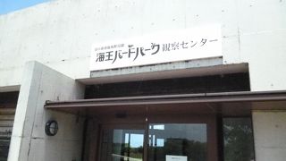 じっくりとバードウォッチング