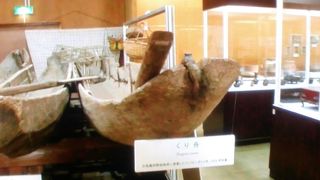 歴史的な展示物が多数あります。