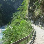 透明度の高い清流に癒されます