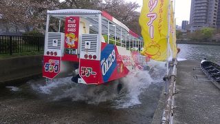 スプラッシュ、イン！！