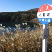 えびの高原の池めぐりの最後の湖。道路脇にあります。