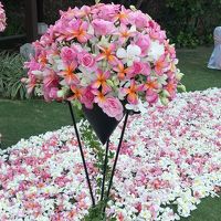 ヴァージンロードはプルメリアが敷き詰められて