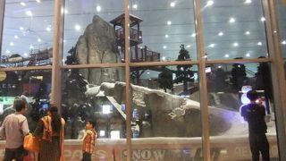 常夏なのに真冬！