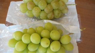 緑に囲まれた湖