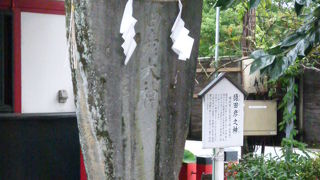 多くの御利益をつまみましょう！