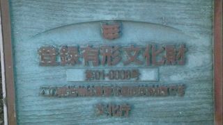 積雪に似合っています！