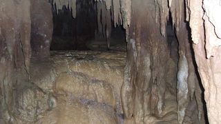 鍾乳洞がいいですね
