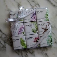 ウェルカムスイーツとしてチョコレートをいただきました