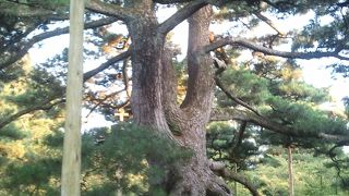 ここを見ずして、金沢を語るなかれ！