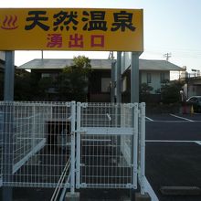 源泉らしいです