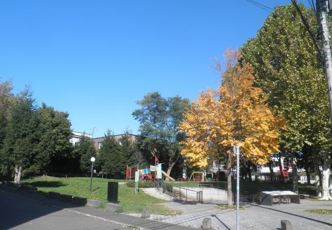 紅葉が始まった大友公園