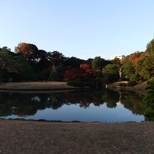 六義園の池