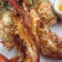 ロブスター丸々1匹