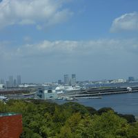 客室から見える港です